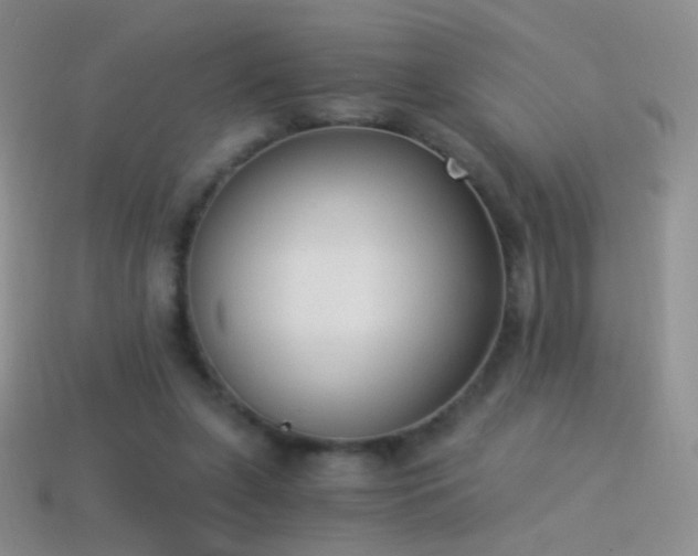 X0000114520255200910191201