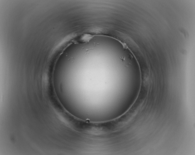 X0000114520256200910191201