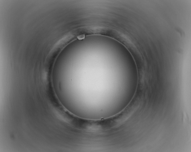 X0000114520258200910191201