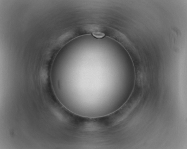 X0000114520259200910191201