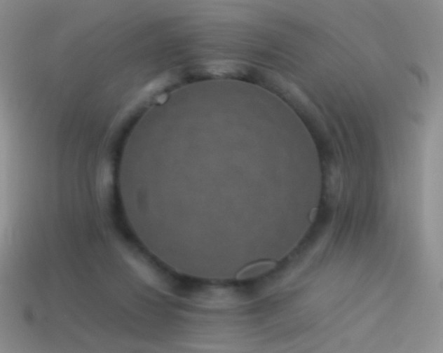 X0000114520260200910191201