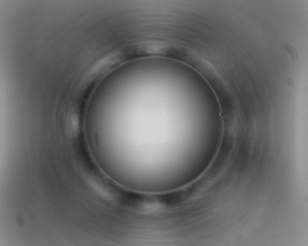 X0000114520262200910191201