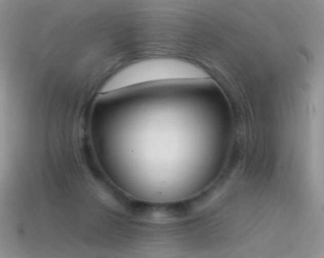 X0000114520264200910191201