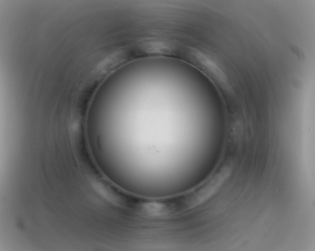 X0000114520265200910191201