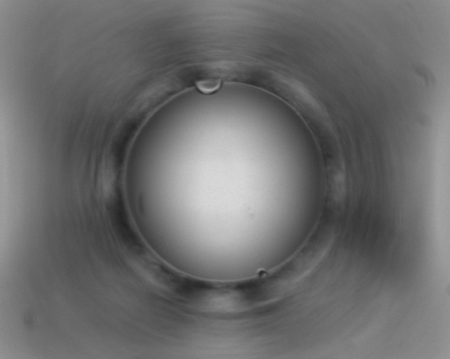 X0000114520266200910191201