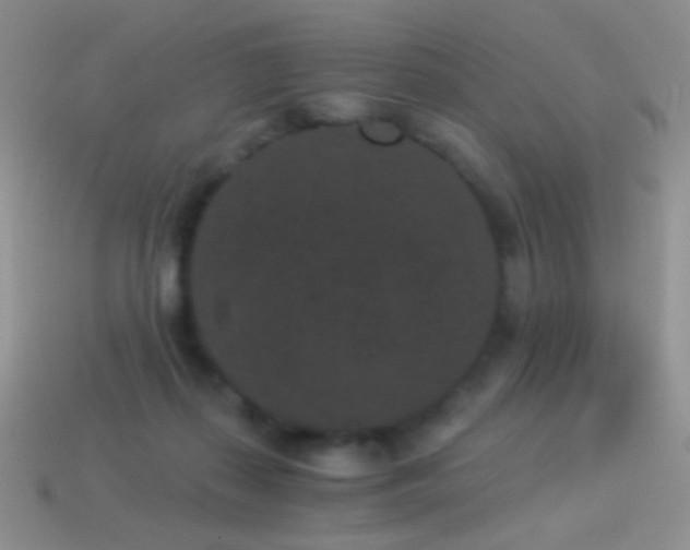 X0000114520267200910191201