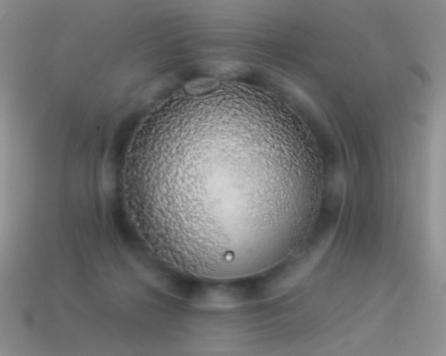 X0000114520268200910191201