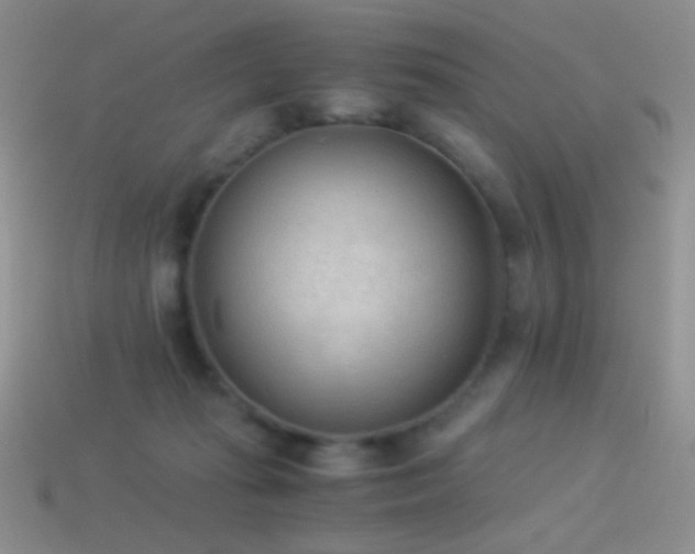 X0000114520269200910191201