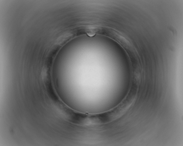 X0000114520270200910191201