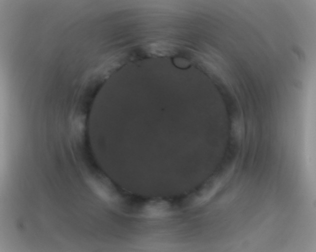 X0000114520271200910191201