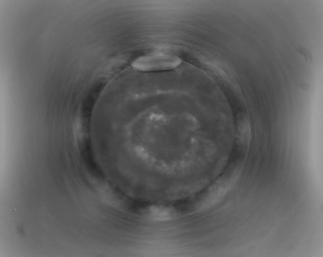 X0000114520272200910191201