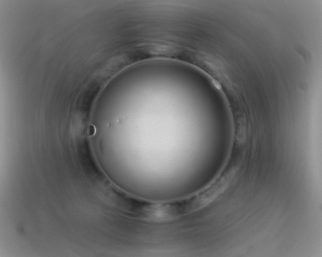 X0000114520273200910191201