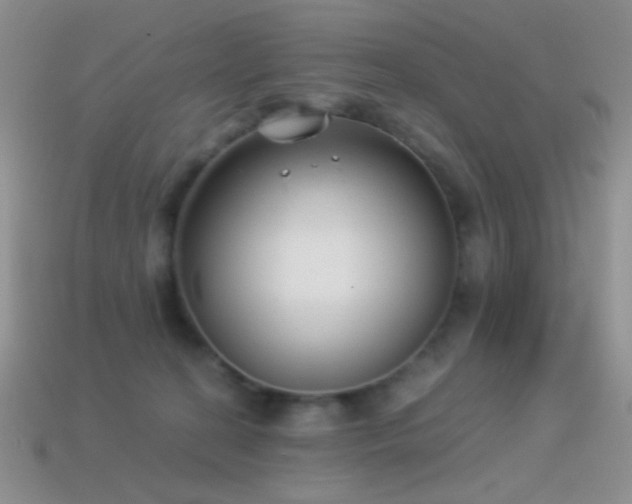 X0000114520274200910191201