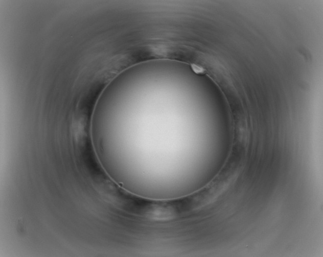 X0000114520275200910191201