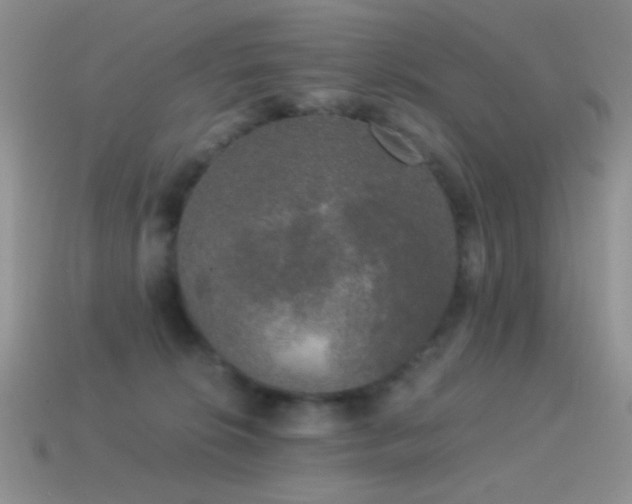 X0000114520276200910191201