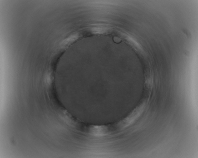 X0000114520277200910191201