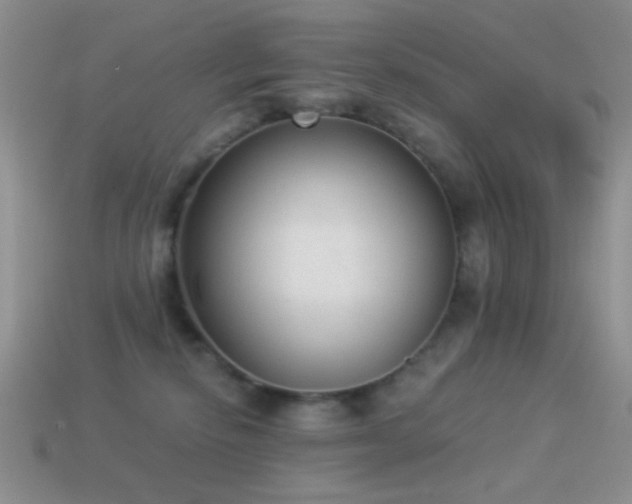 X0000114520278200910191201