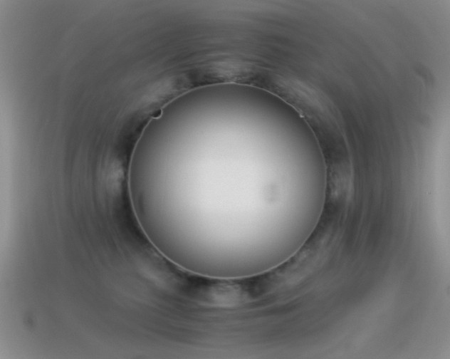 X0000114520279200910191201