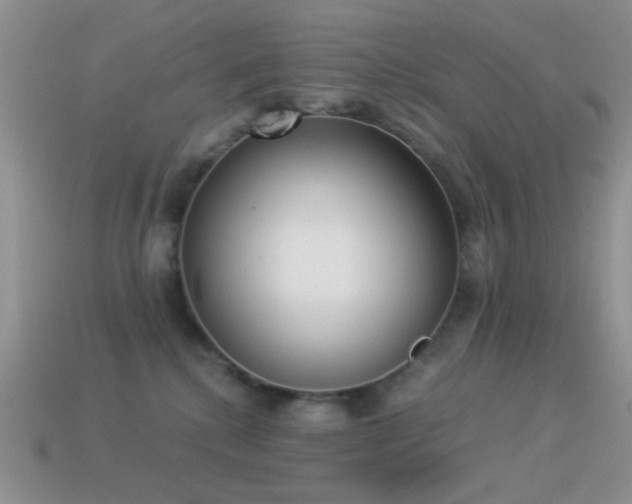 X0000114520280200910191201