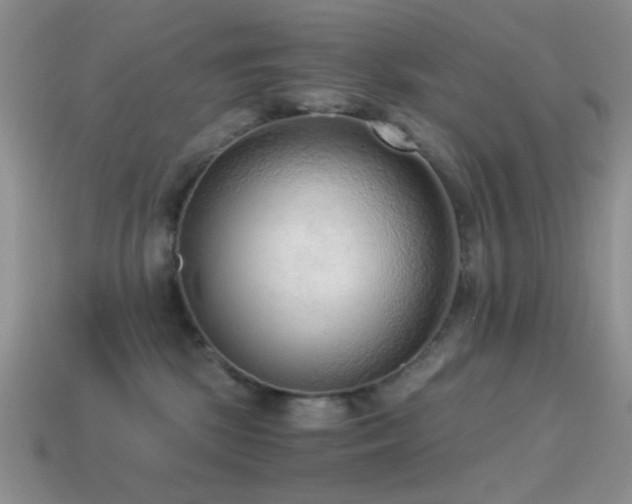 X0000114520281200910191201