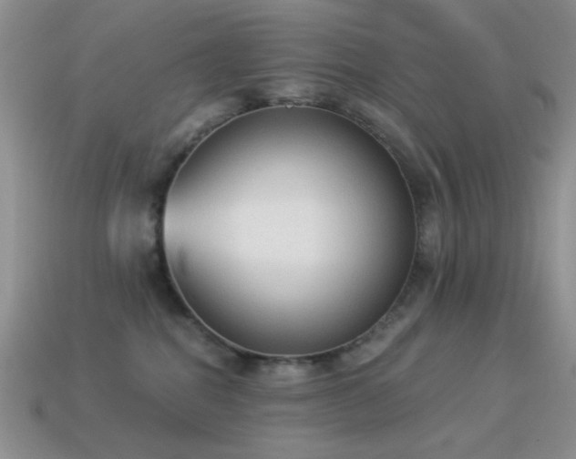 X0000114520282200910191201