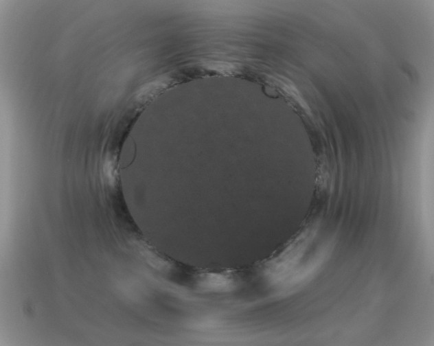 X0000114520285200910191201