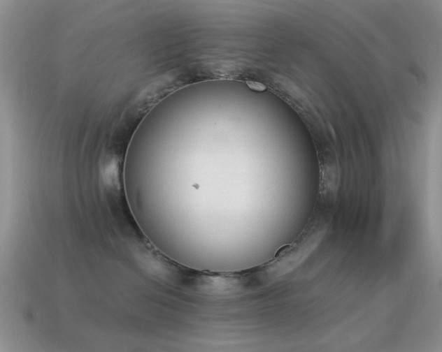 X0000114520286200910191201