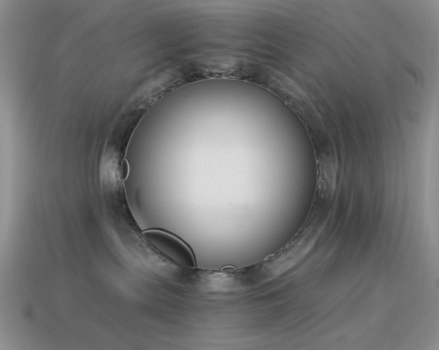 X0000114520287200910191201