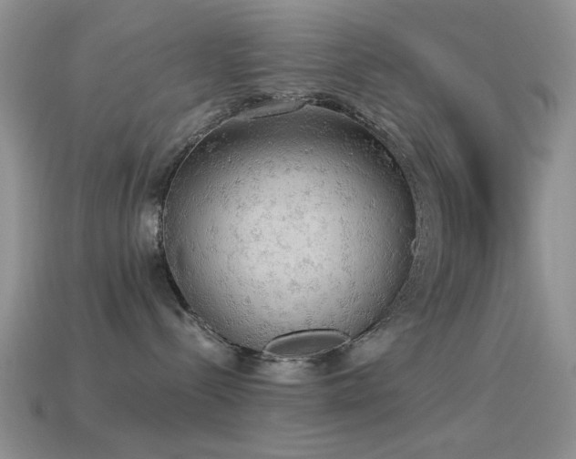 X0000114520288200910191201