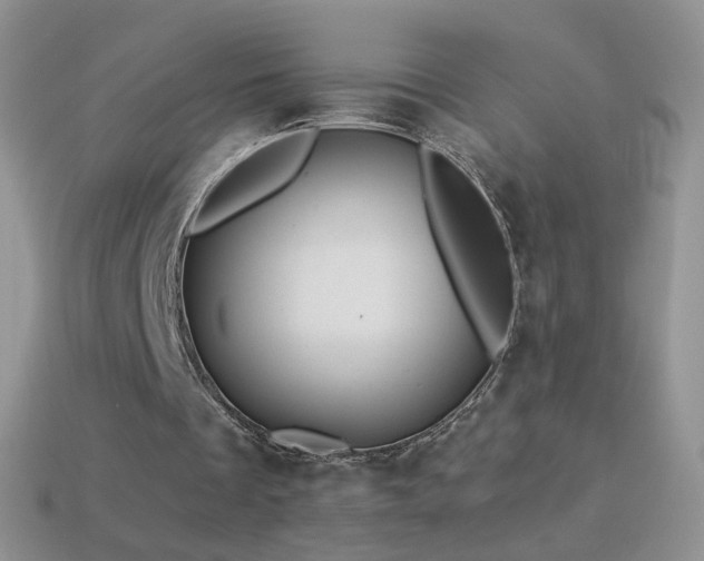 X0000114520289200910191200