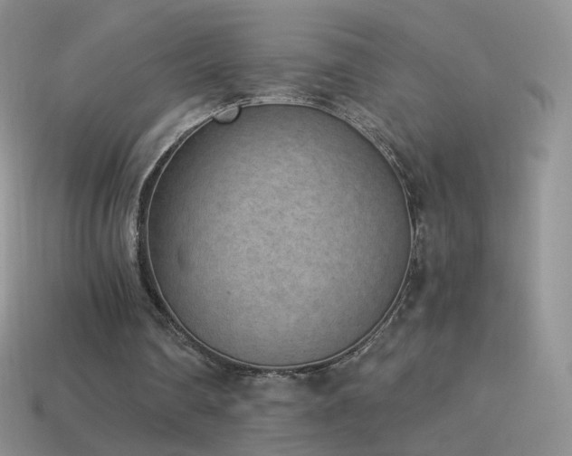 X0000114520290200910191200