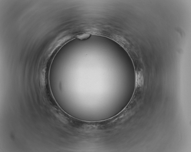 X0000114520291200910191200