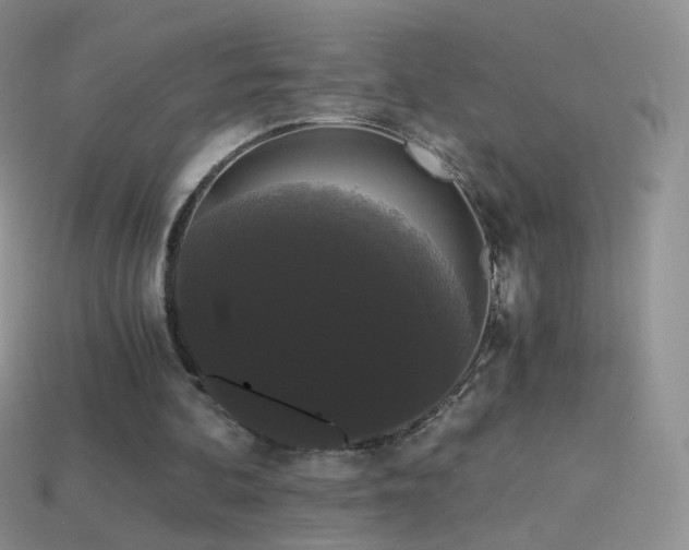 X0000114520292200910191200