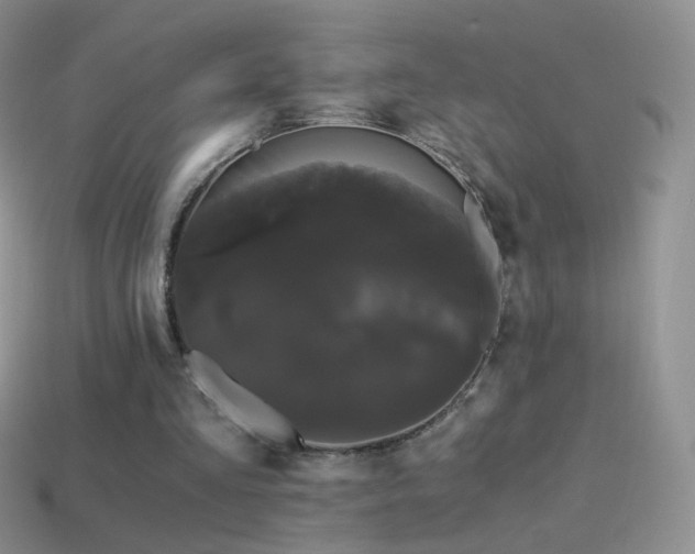 X0000114520293200910191200