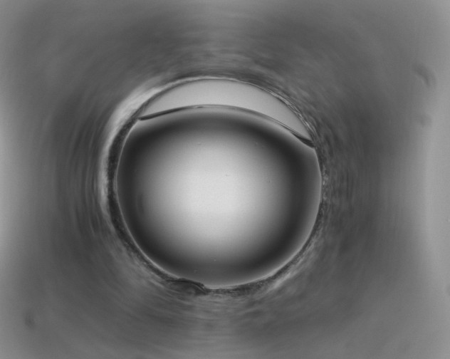 X0000114520294200910191200