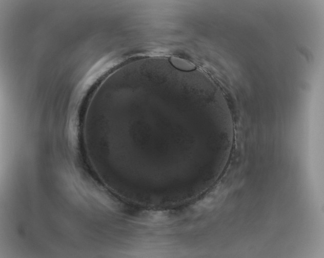 X0000114520295200910191200