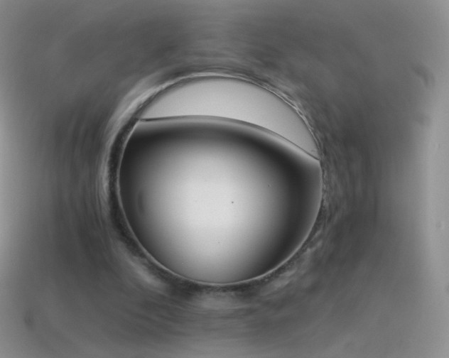 X0000114520296200910191200