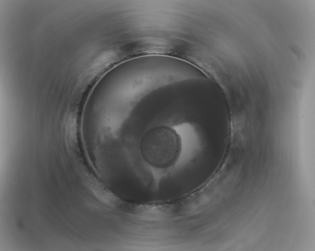 X0000114520297200910191200