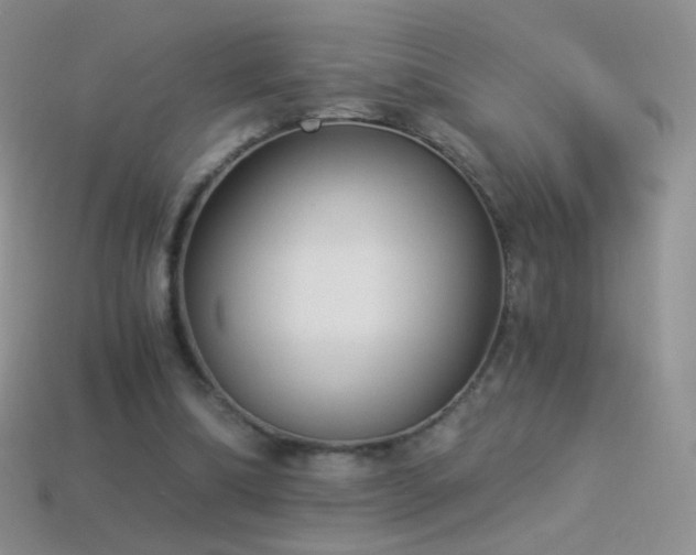 X0000114520298200910191200