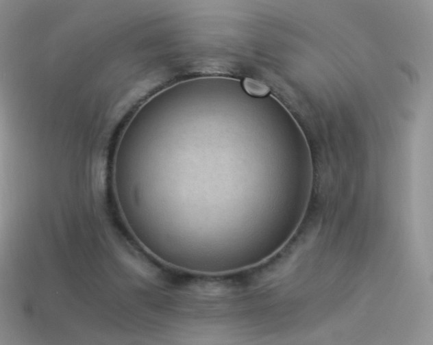 X0000114520299200910191200