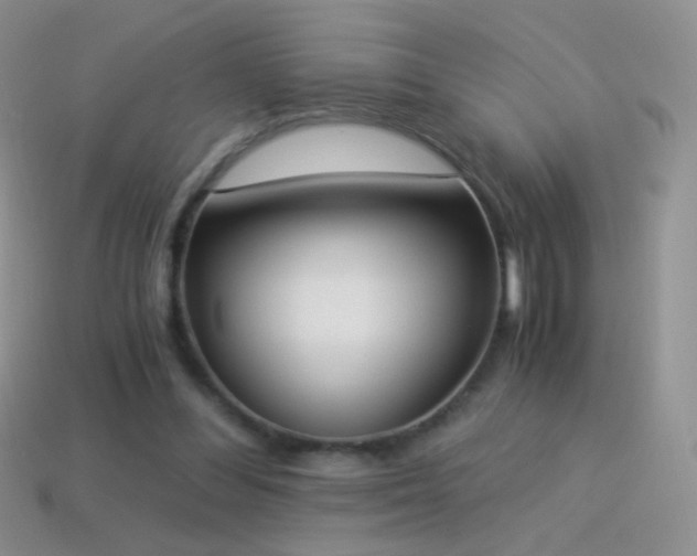 X0000114520300200910191200