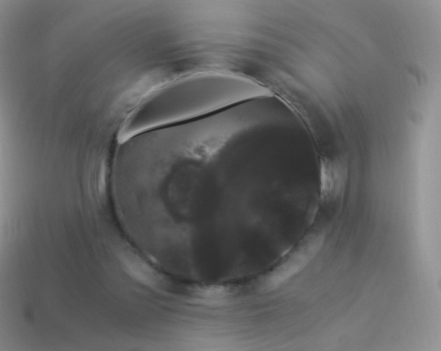 X0000114520301200910191200