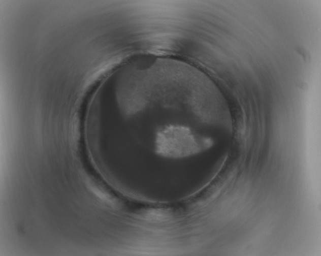 X0000114520303200910191200