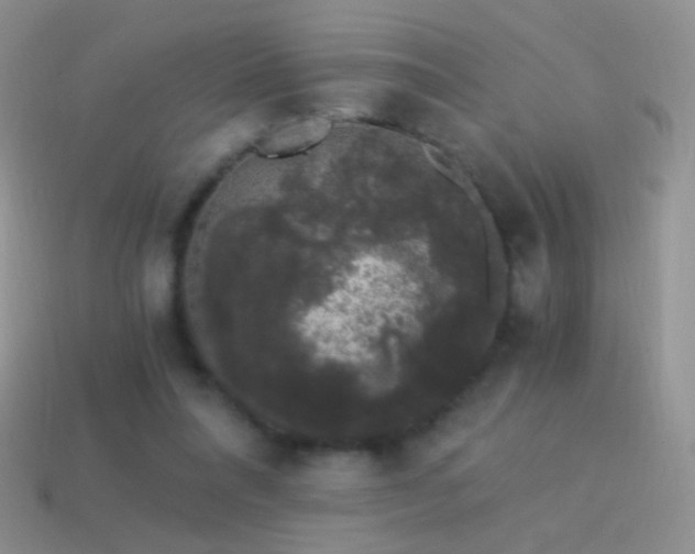 X0000114520304200910191200