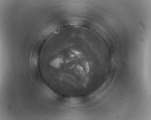 X0000114520305200910191200