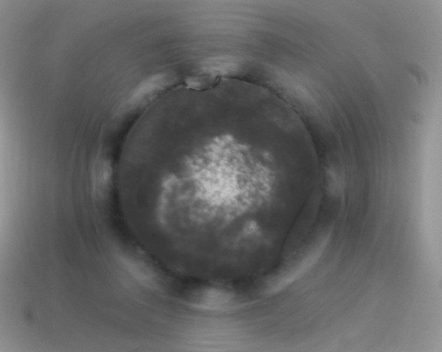 X0000114520308200910191200