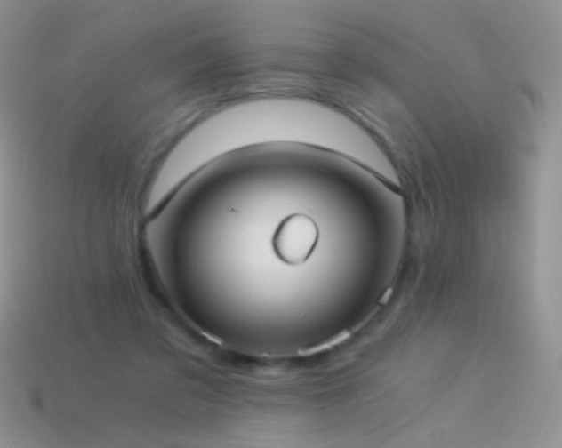 X0000114520309200910191200