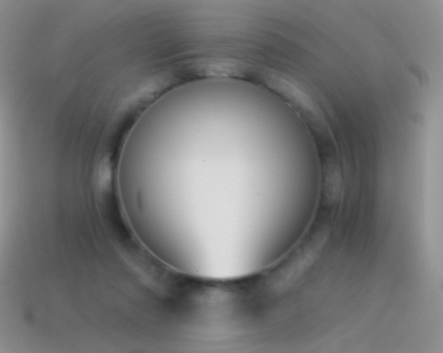 X0000114520310200910191200