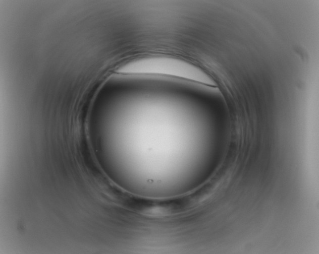 X0000114520312200910191200