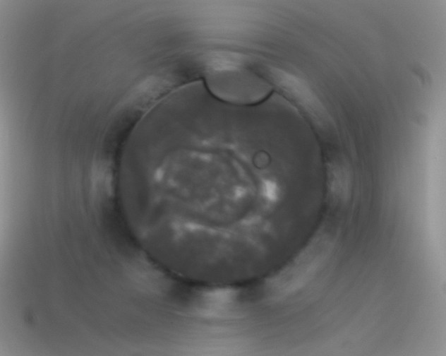 X0000114520313200910191200